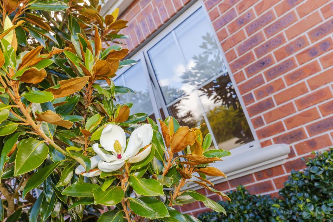 Sweet Magnolia 1 Or 2 Bedroom Suite St Kilda Cambridge With Complimentary Continental Breakfast Exterior foto